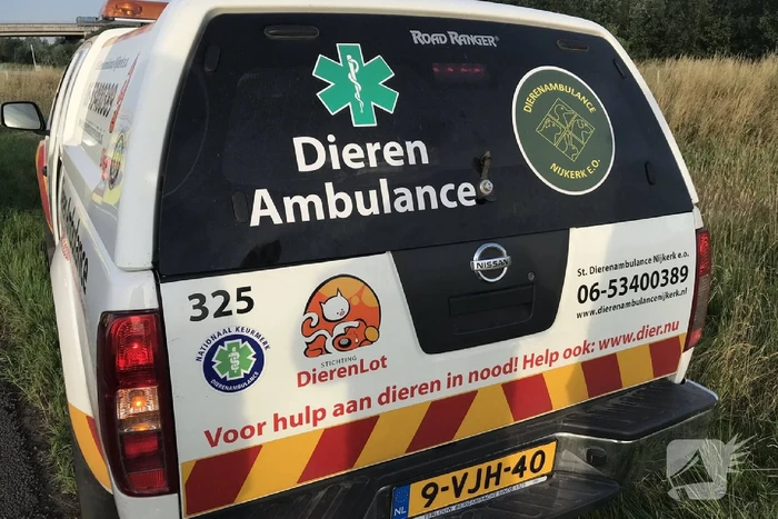 Familie Zwaan in de berm gehouden