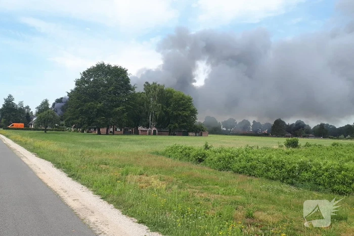 brand fortstraat halle