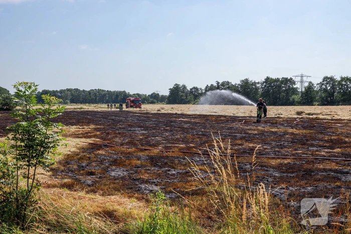 Meters grasland in brand