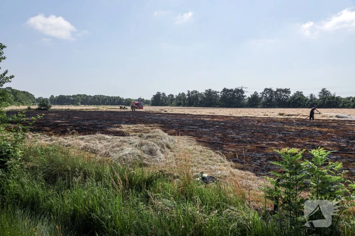 Meters grasland in brand