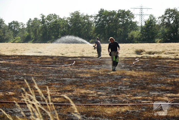 Meters grasland in brand