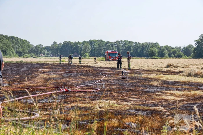 Meters grasland in brand