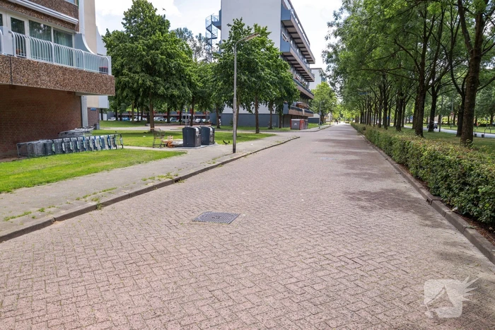 Afvaldumping loopt de spuigaten uit