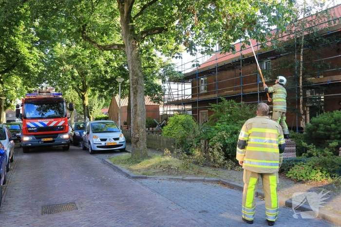 Los hangende takken verwijderd