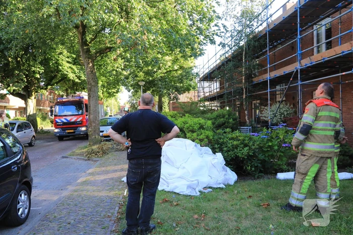 Los hangende takken verwijderd
