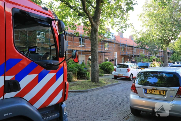 Los hangende takken verwijderd