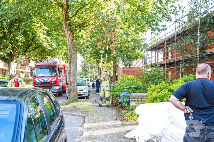 Los hangende takken verwijderd