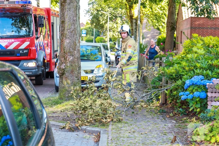 Los hangende takken verwijderd