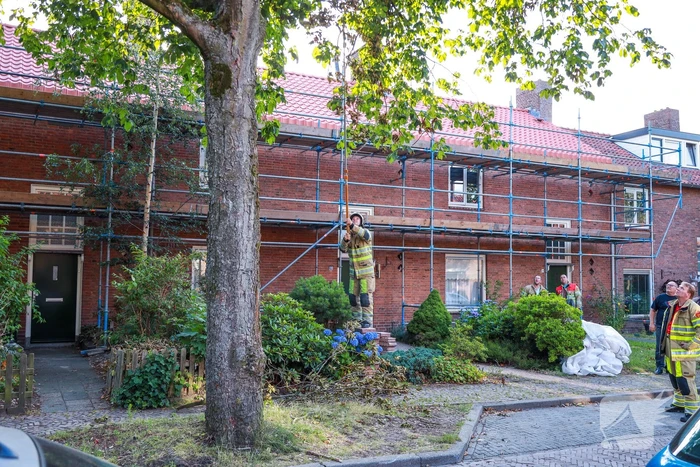 Los hangende takken verwijderd