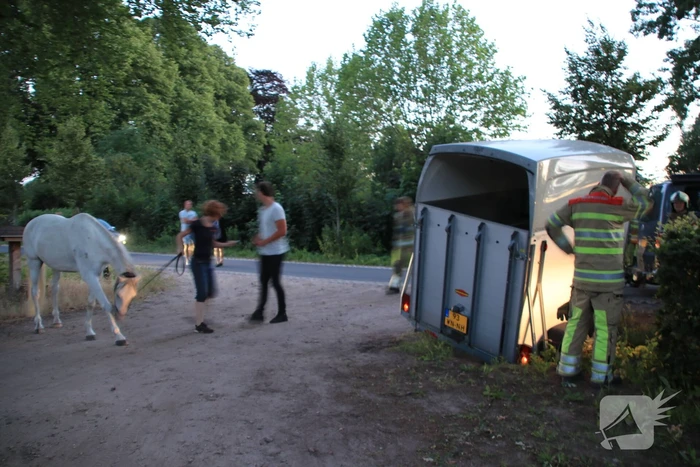 Paardentrailer met paarden belandt in de sloot