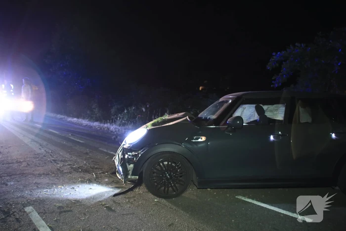 Bestuurder vlucht na crash
