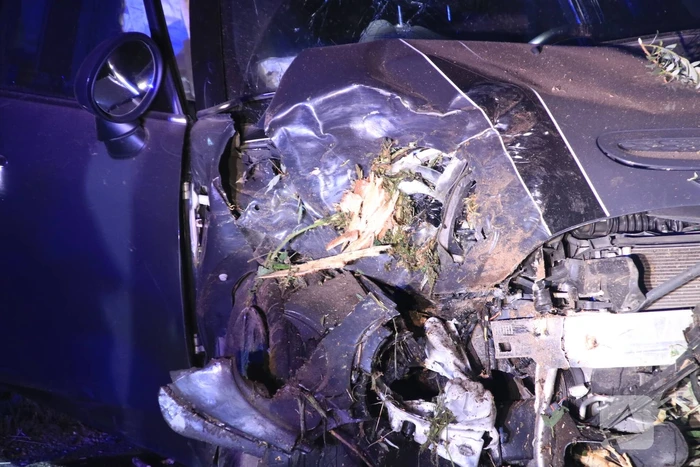Bestuurder vlucht na crash
