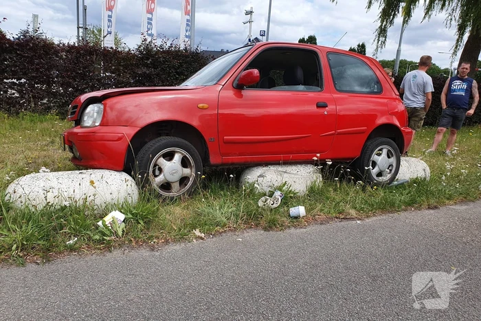 Auto belandt op varkensruggen