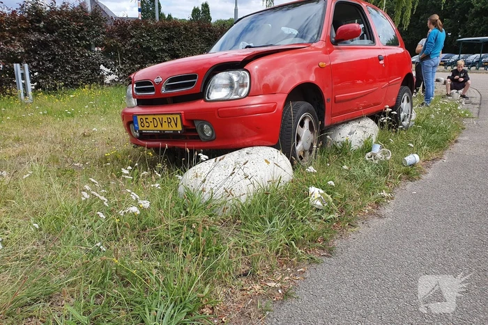 Auto belandt op varkensruggen