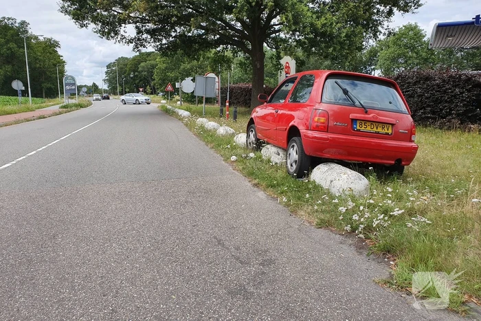 Auto belandt op varkensruggen