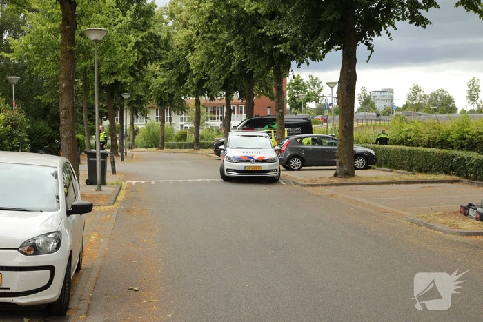 Automobilist aangehouden na achtervolging