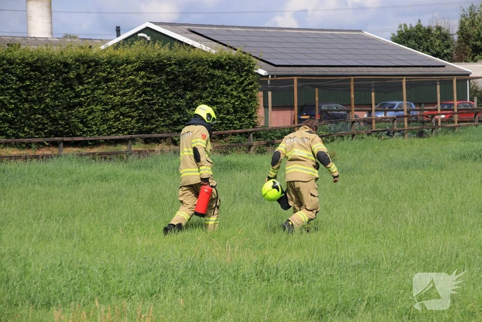Brandje onder hoogspanningsmast snel geblust