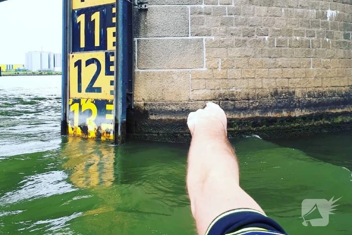 Politie redt persoon uit water onder Merwedebrug