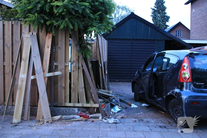 Drankrijder richt ravage aan