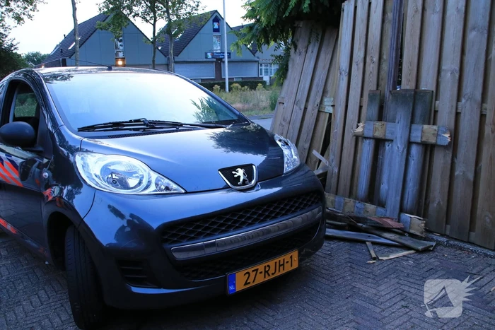 Drankrijder richt ravage aan