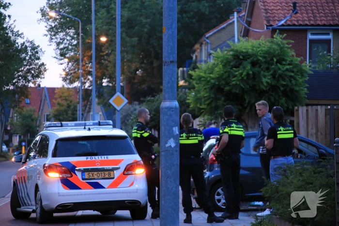 Drankrijder richt ravage aan