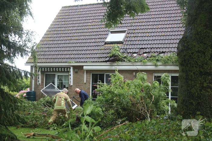 nieuws westdijk hekelingen