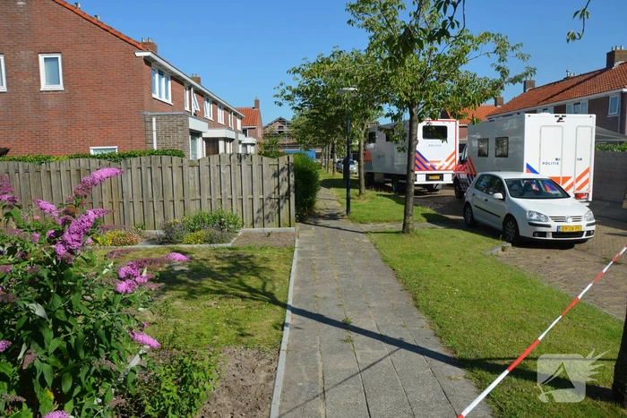 nieuws regnerus falcostrjitte stiens