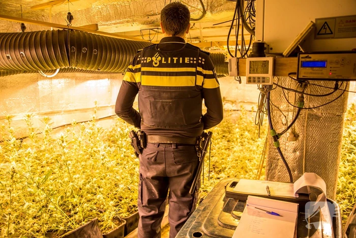 Inbeslagnames en aanhoudingen in groot drugsonderzoek