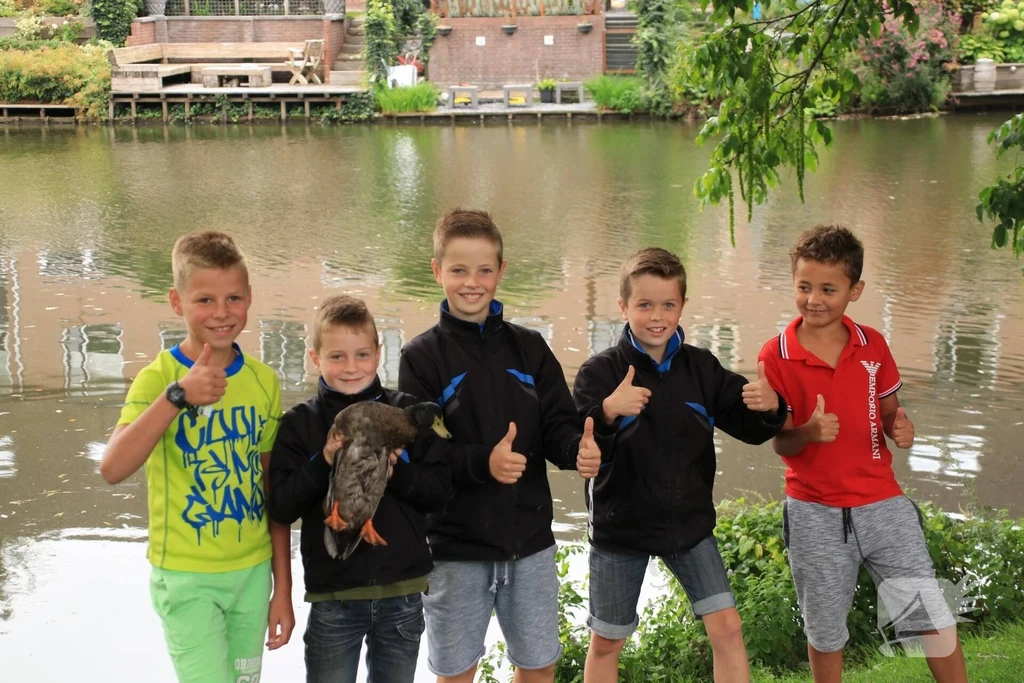 Barneveld