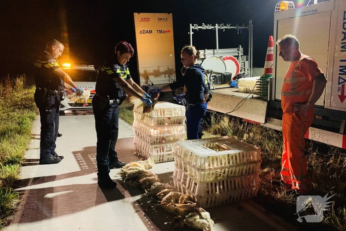 nieuws provinciale weg - n272 sint anthonis