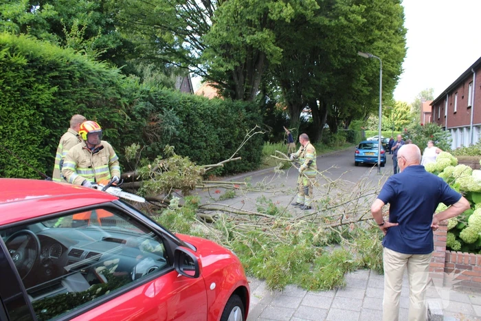 Omgevallen boom blokkeert straat
