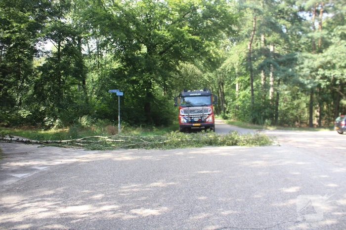 Deel boom blokkeert weg