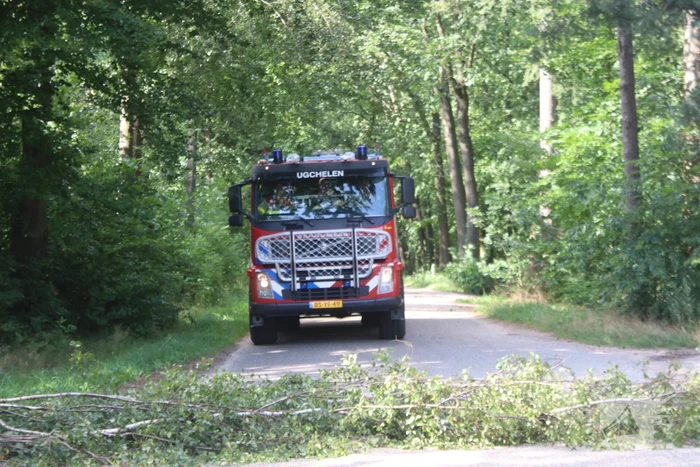 Deel boom blokkeert weg