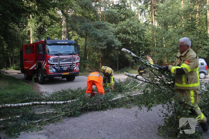 Deel boom blokkeert weg