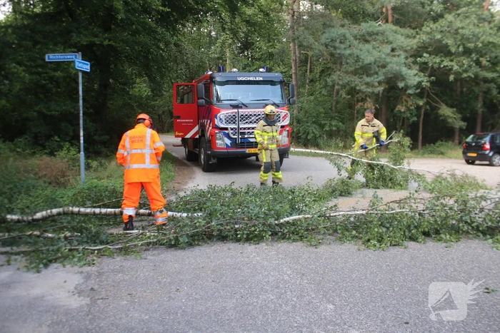 Deel boom blokkeert weg