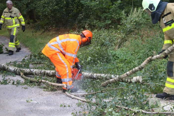 Deel boom blokkeert weg