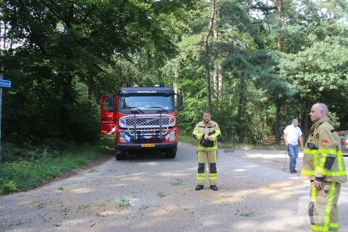 Deel boom blokkeert weg