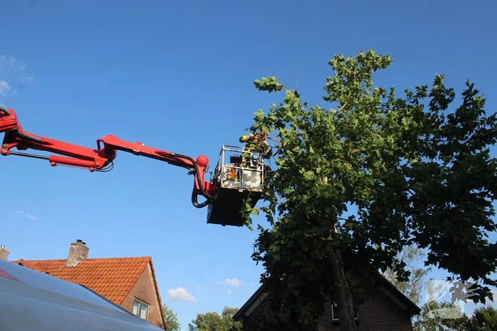 nieuws teutonenstraat apeldoorn