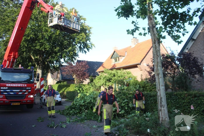 Boom deels verwijderd door stormschade