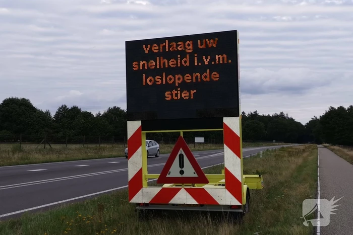 nieuws verlengde arnhemseweg - n224 ede