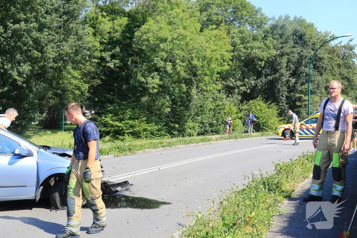 Auto vliegt uit de bocht ramt lantaarnpaal; bestuurder aangehouden
