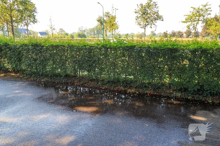 Leidingbreuk langs provinciale weg