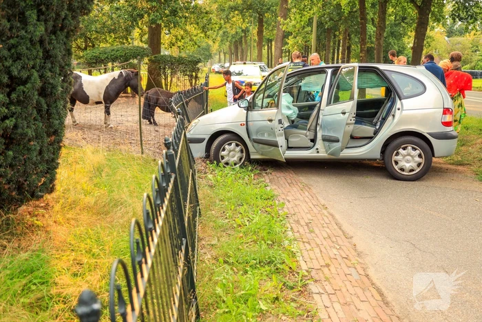 Auto rijdt tegen boom en klapt op hek