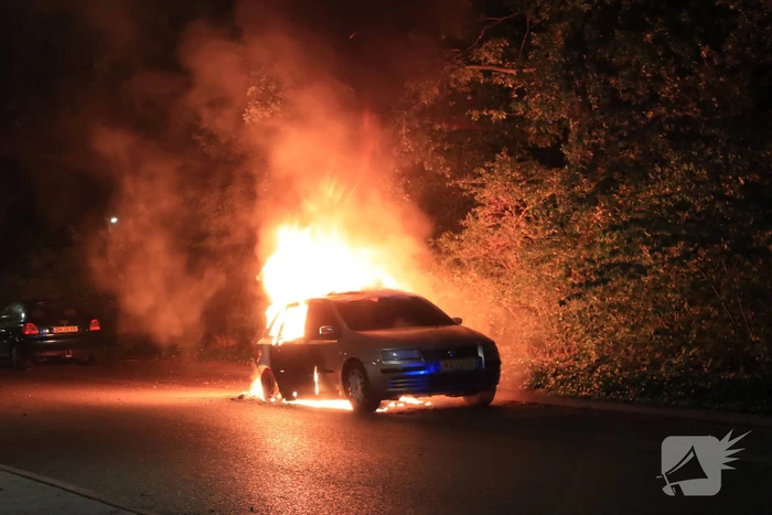 Vier auto's verwoest na vermoedelijk brandstichting