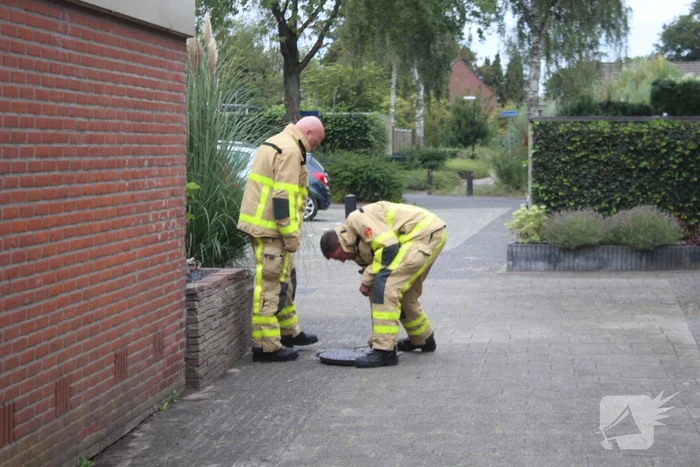 Onderzoek naar benzinelucht