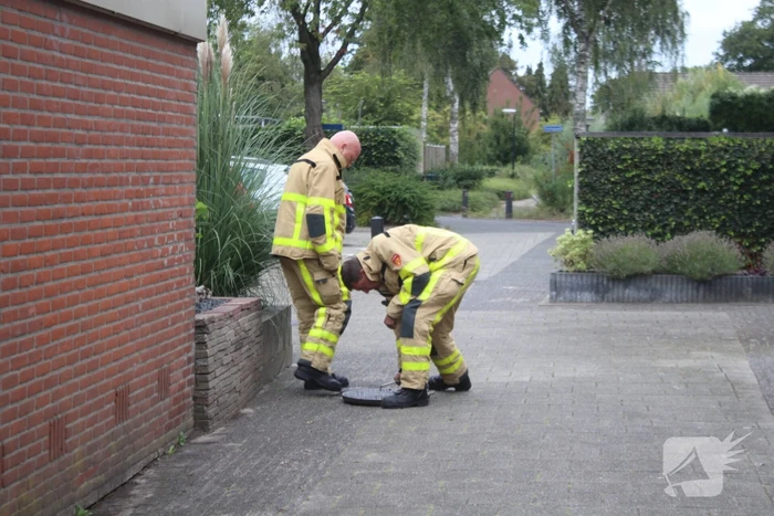 Onderzoek naar benzinelucht