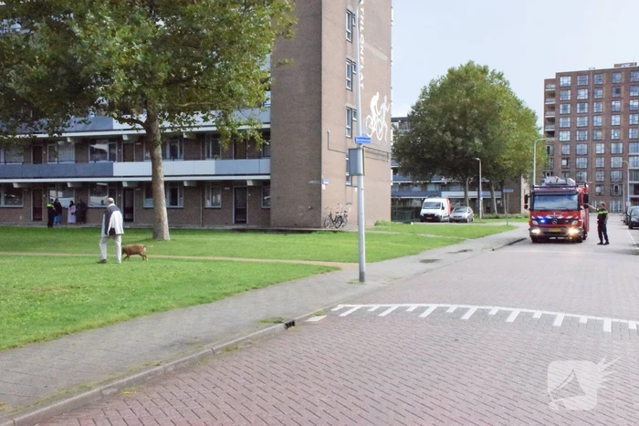 Hulpdiensten uitgerukt voor gaslucht