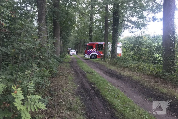 Loslopende varkens zorgen voor gevaarlijke situatie