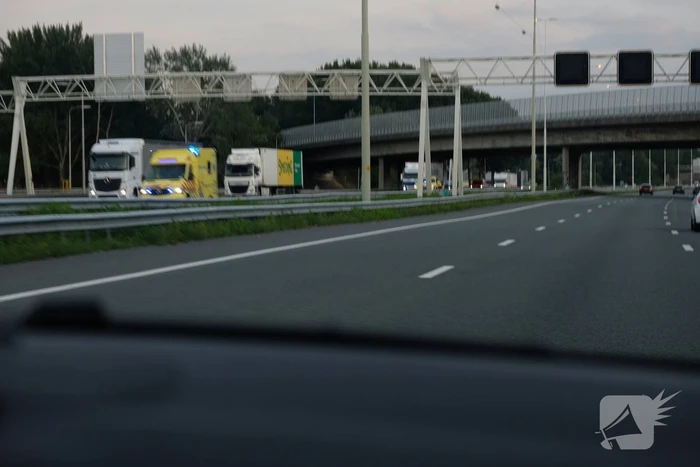 Vier doden bij gezinsdrama