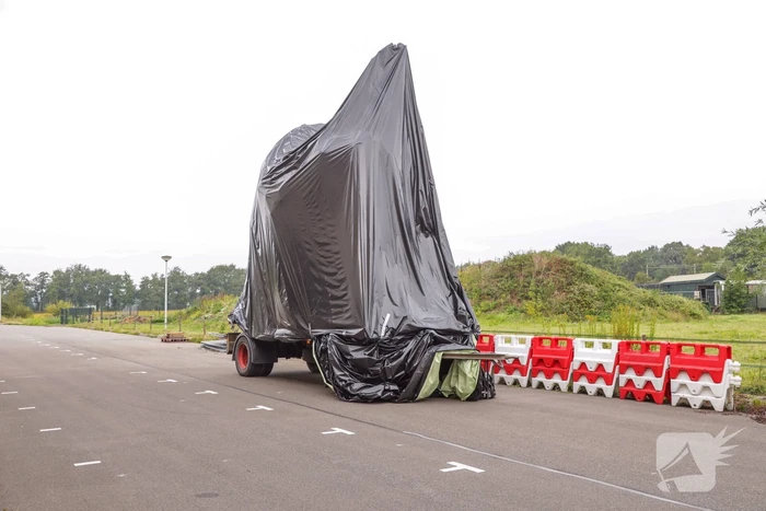 Mysterie verdwenen stier opgelost
